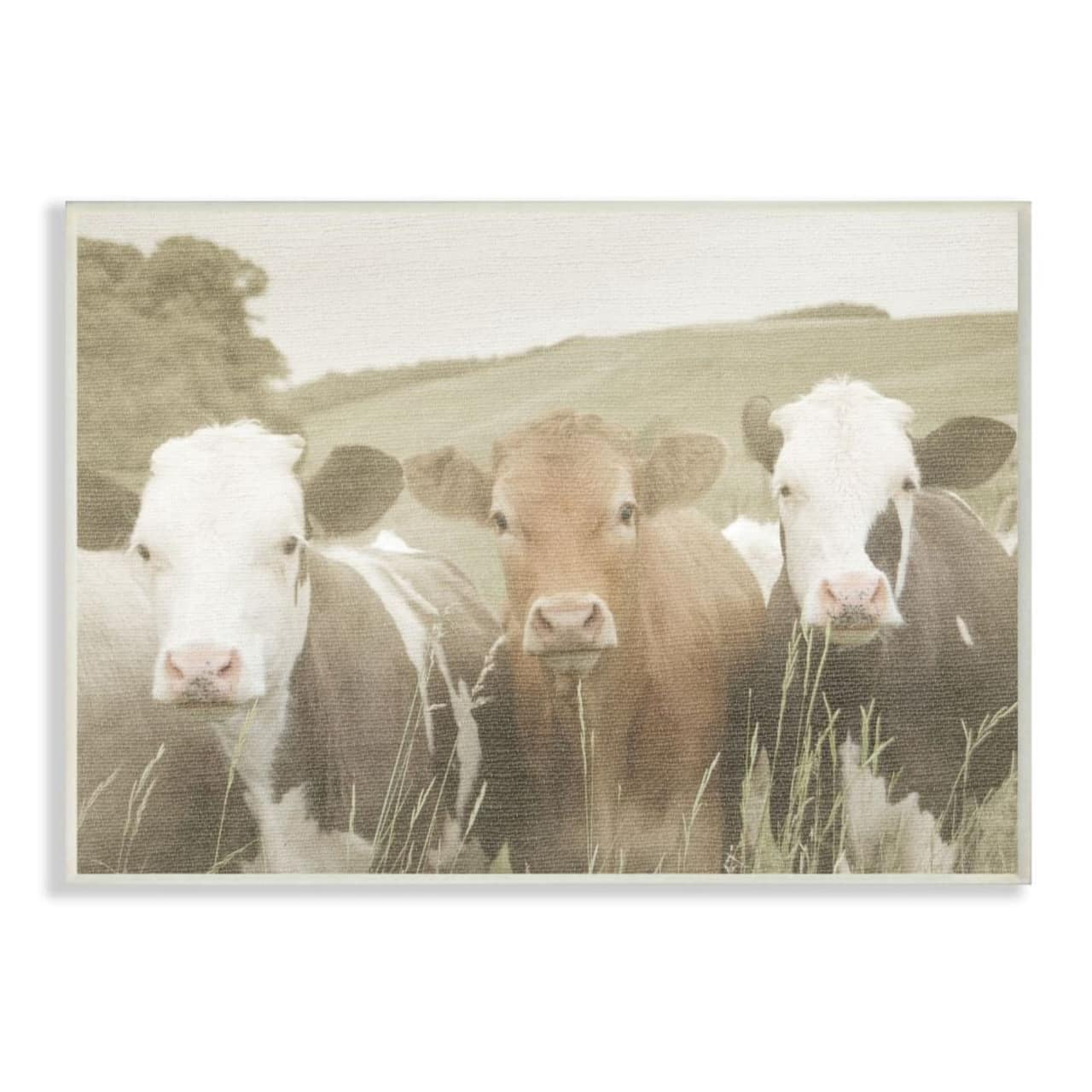 Stupell Industries Cows in the Field Wall Plaque